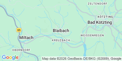 Karte Blaibach