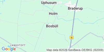 Karte Bosbüll
