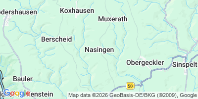 Karte Nasingen