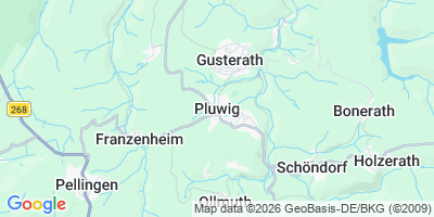 Karte Pluwig