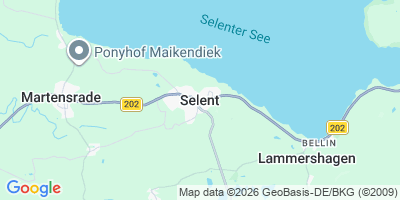 Karte Selent