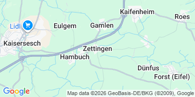 Karte Zettingen